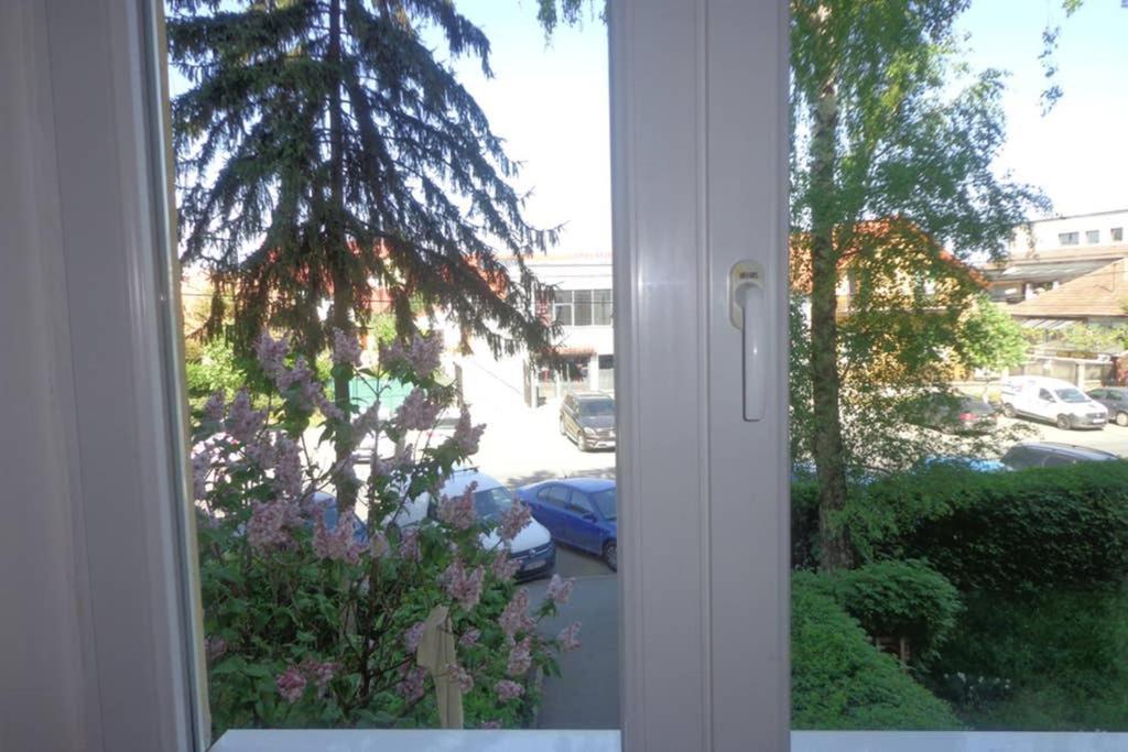 Aldine Comfort : Entire Apartment With 2 Bedrooms Sibiu Eksteriør billede